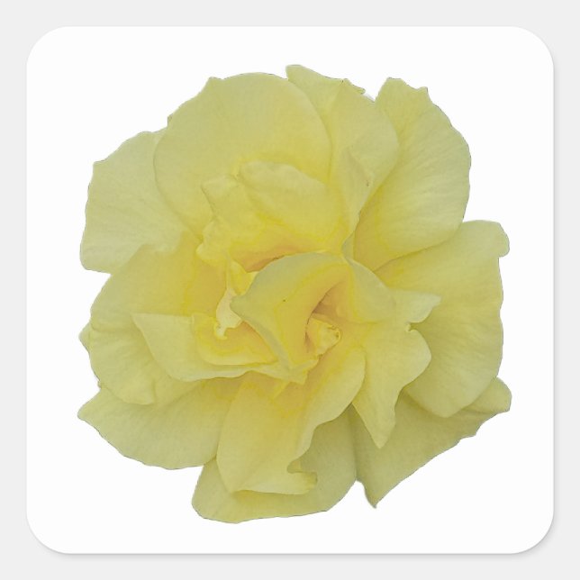 Aufkleber für die gelbe Blume (Vorderseite)