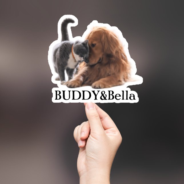 Aufkleber für die Haustiere, Aufkleber für den eig (Von Creator hochgeladen)