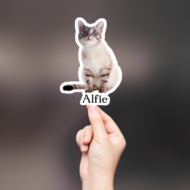 Aufkleber für die Haustiere, Aufkleber für den eig (Von Creator hochgeladen)