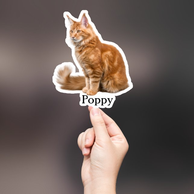 Aufkleber für die Haustiere, Aufkleber für den eig (Von Creator hochgeladen)