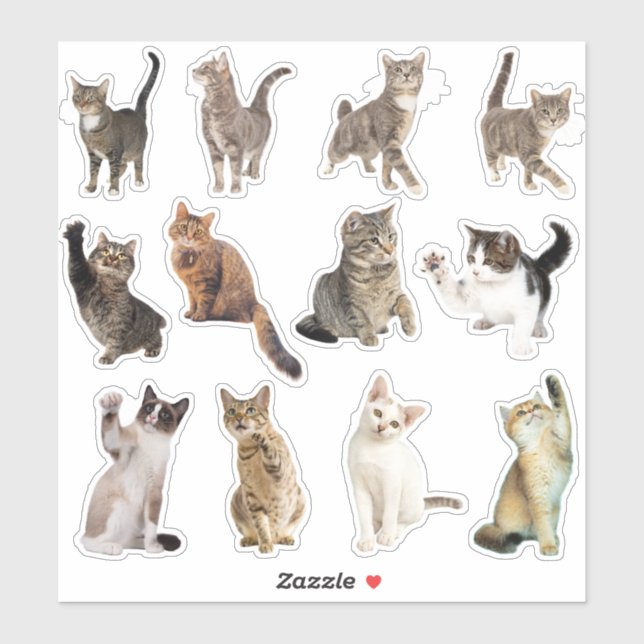 Aufkleber für die Katzen (Blatt)