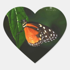 Aufkleber für die Liebe von Schmetterlingen