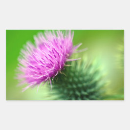 Aufkleber für die lila Blume