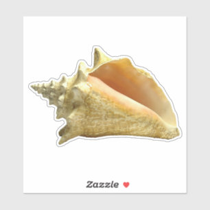 Aufkleber für die Muschel