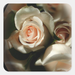 Aufkleber für die Soft-Rose