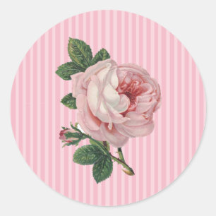 Aufkleber für die Vintage Rose in Rosa