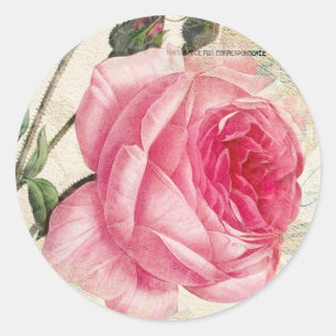 Aufkleber für die Vintage Rose in Rosa