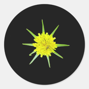 Aufkleber für die wild lebende Blume aus weniger Z