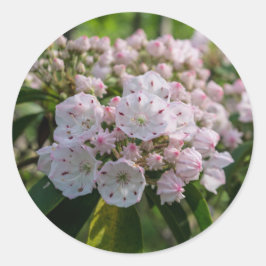 Aufkleber für die Wildblume Mountain Laurel