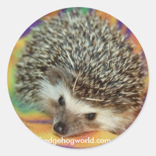 Aufkleber für dunkle Igel