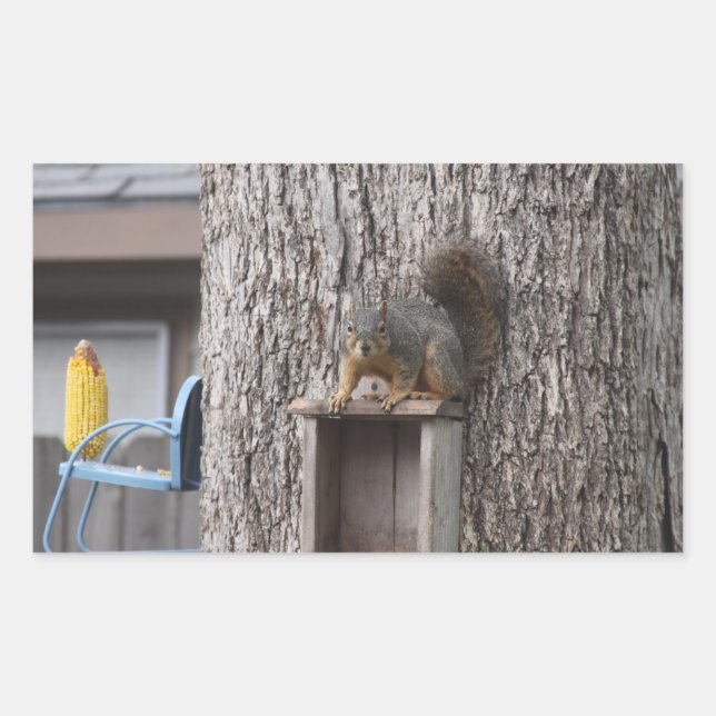 Aufkleber für Eichhörnchen (Vorderseite)
