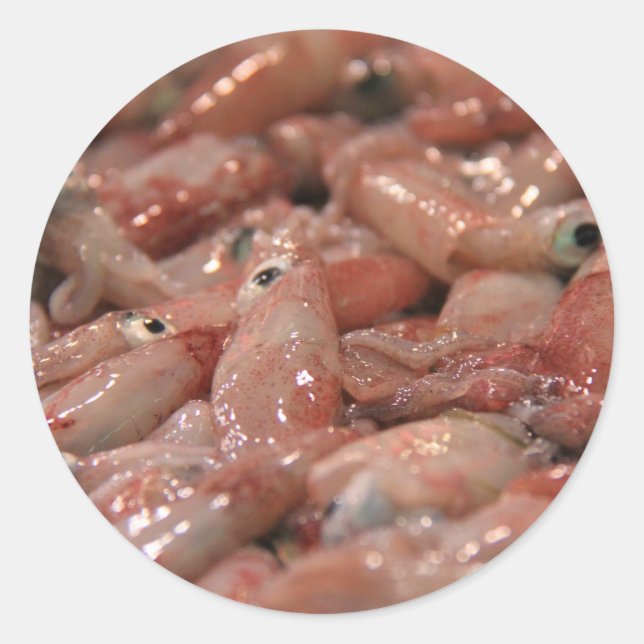 Aufkleber für frische Tintenfische (Vorderseite)