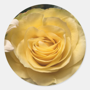 Aufkleber für Gelbe Rosen-Umschlag Aufkleber