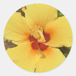 Aufkleber für gelben Hibiskus