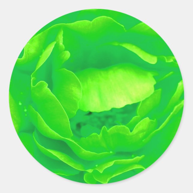 Aufkleber für grüne Rose - individuell anpassbar (Vorderseite)