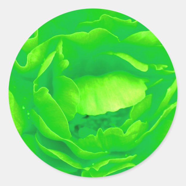 Aufkleber für hellgrüne Rose - individuell einstel (Vorderseite)