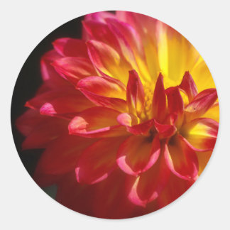 Aufkleber für lebendige Blume