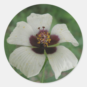 Aufkleber für Lila Passionsblumen