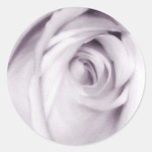 Aufkleber für lila Rose