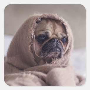 Aufkleber für niedliche Hunde 3