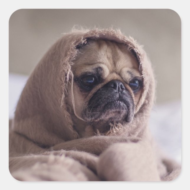 Aufkleber für niedliche Hunde 3 (Vorderseite)