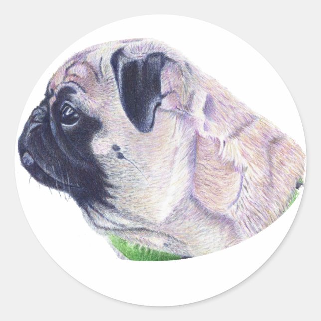 Aufkleber für niedliche Mops (Vorderseite)