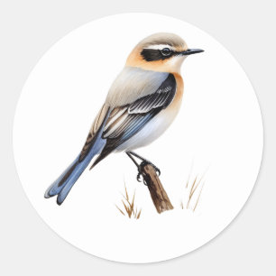 Aufkleber für Nordatlar-Songbird