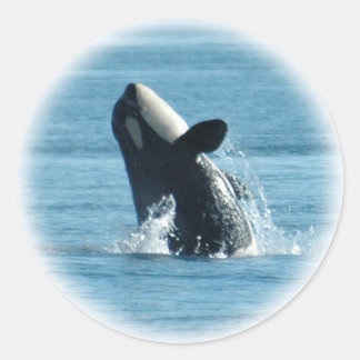 Aufkleber für Orca