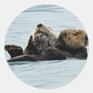 Aufkleber für Otter