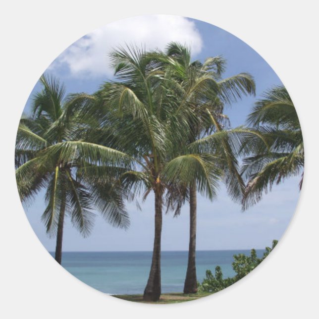 Aufkleber für Palmen (Vorderseite)