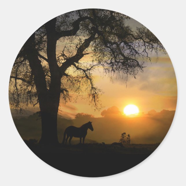Aufkleber für Pferde und Sonnenaufgänge (Vorderseite)