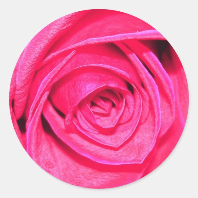 Aufkleber für Pinks und Reds (Vorderseite)