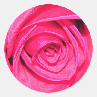 Aufkleber für Pinks und Reds