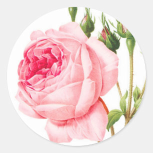 Aufkleber für Rosenumschlag
