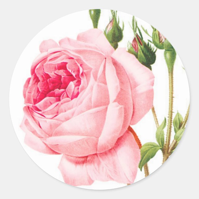 Aufkleber für Rosenumschlag (Vorderseite)