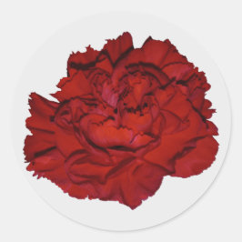 Aufkleber für rote Nelken