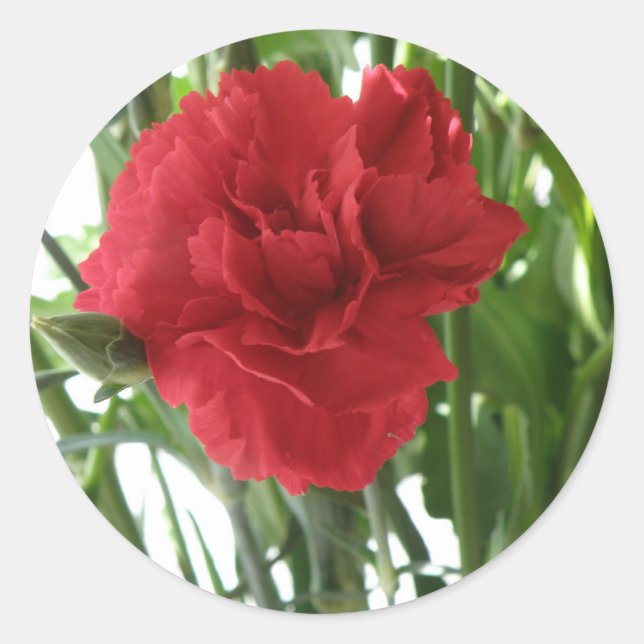 Aufkleber für rote Nelken (Vorderseite)
