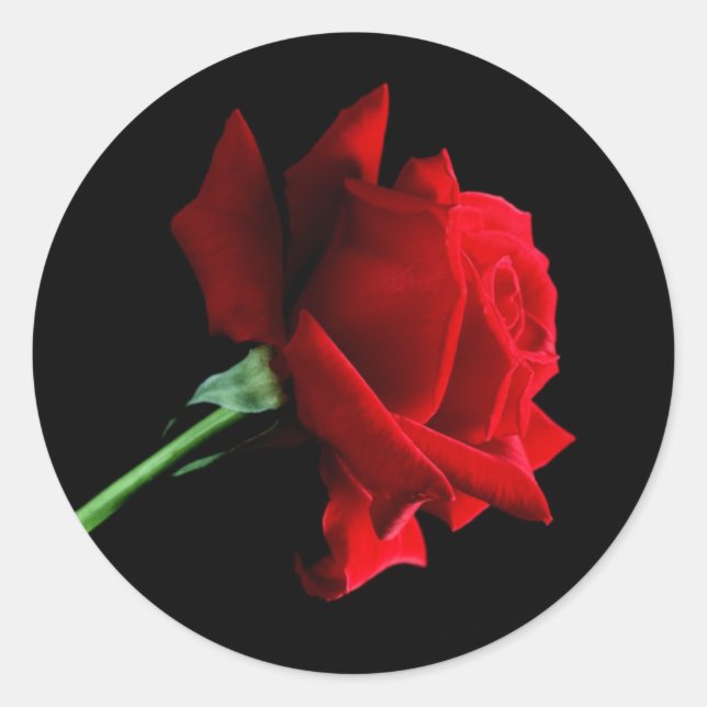 Aufkleber für rote Rosen (Vorderseite)