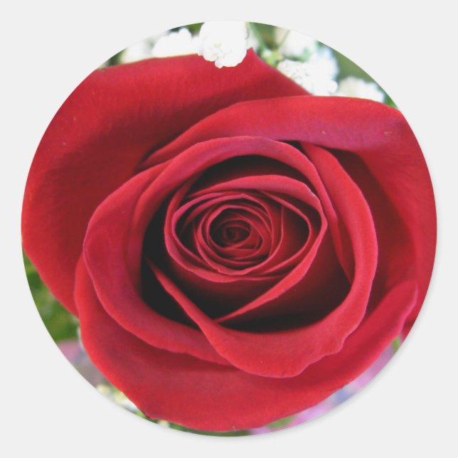 Aufkleber für rote Rosen (Vorderseite)