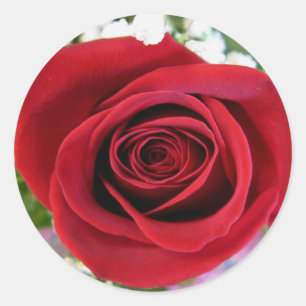 Aufkleber für rote Rosen