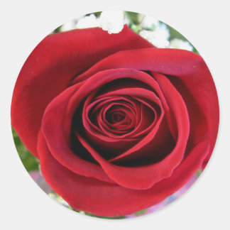 Aufkleber für rote Rosen