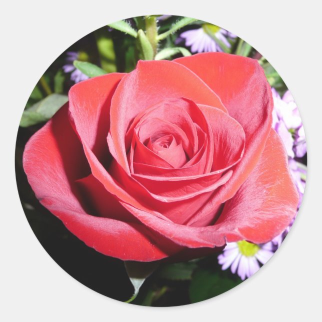 Aufkleber für rote Rosen (Vorderseite)