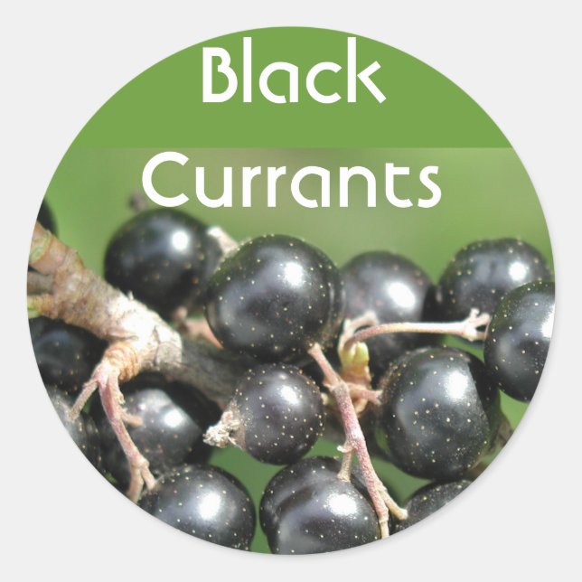 Aufkleber für schwarze Johannisbeeren (Vorderseite)