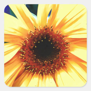 Aufkleber für Sonnenblumen