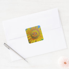 Aufkleber für Sonnenblumen