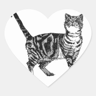 Aufkleber für Tabby-Katzen Niedlich Heimtiere Auf