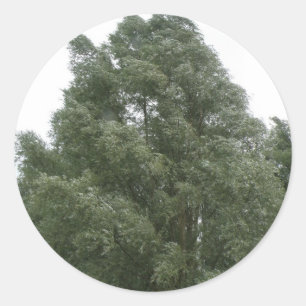 Aufkleber für Treetops