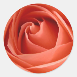 Aufkleber für Umschlag Aufkleber der Rose