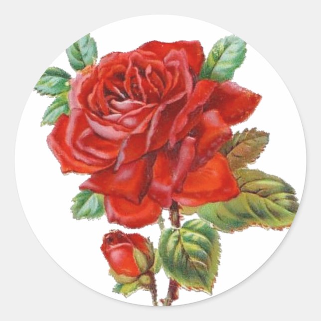 Aufkleber für Vintage Rote Rose (Vorderseite)