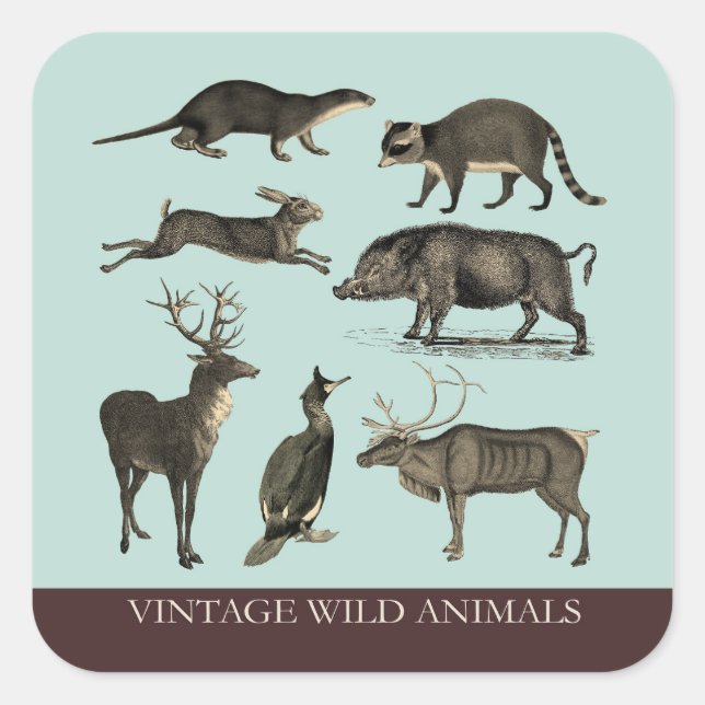 Aufkleber für Vintage Wildtiere (Vorderseite)